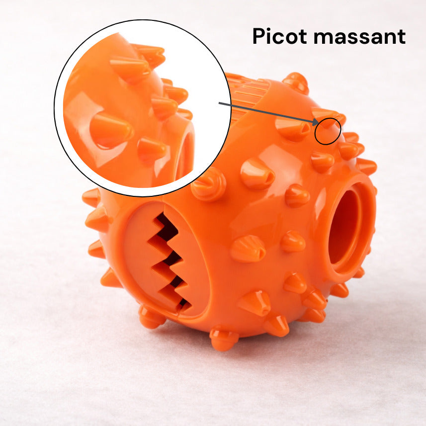 Détail de la surface de mastication de la balle distributrice Canidoo