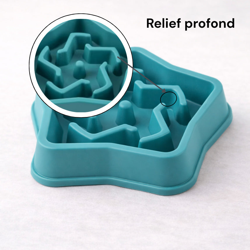 Détail du relief étoile de la gamelle anti-glouton Canidoo