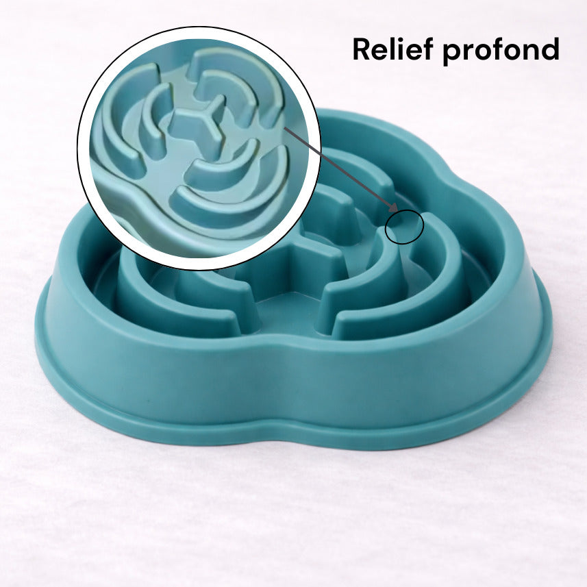 Détail du relief trèfle de la gamelle anti-glouton Canidoo