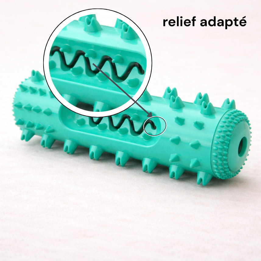 Détail de la texture du jouet de mastication résistant Canidoo