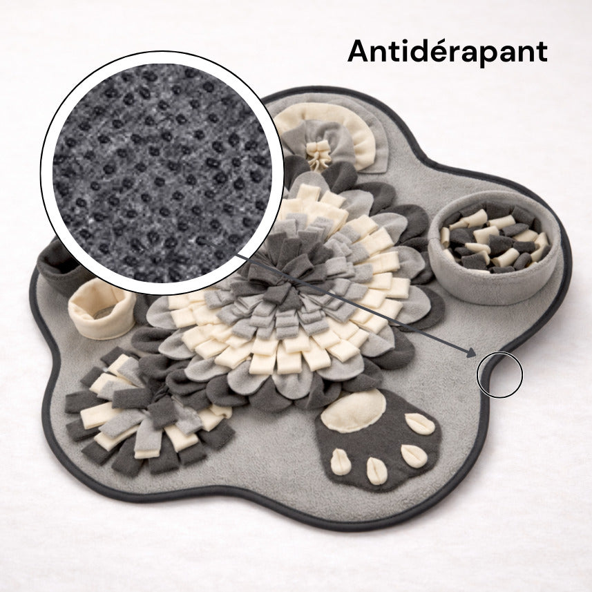 Détail de la surface antidérapante sous le tapis de fouille Canidoo