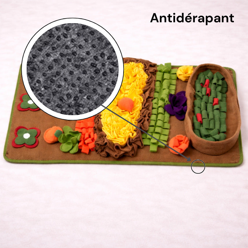 Détail antidérapant sous le tapis de fouille avec ventouse Canidoo