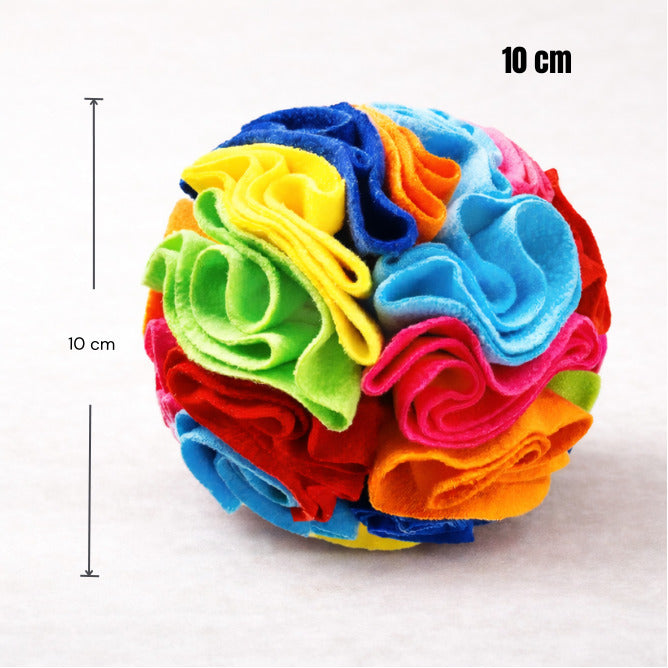 Balle de fouille Canidoo - dimensions 10 cm